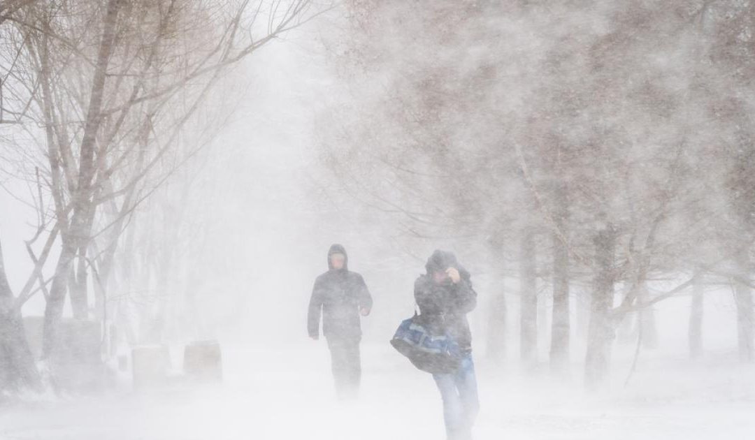 Nouveauté 2018 : Effet tempête de neige réel pour vos animations sur le thème de l’hiver !!